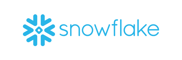 snowflake logo datavid tech stack